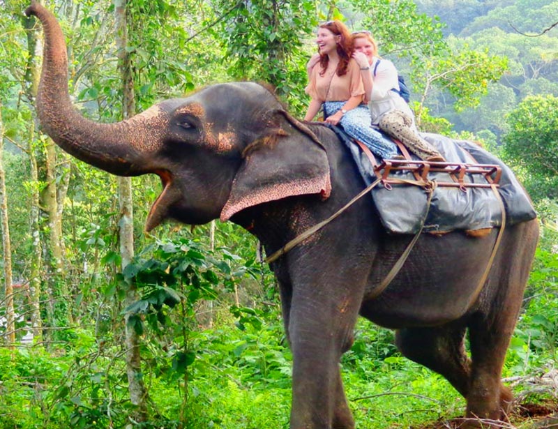 elephant-ride