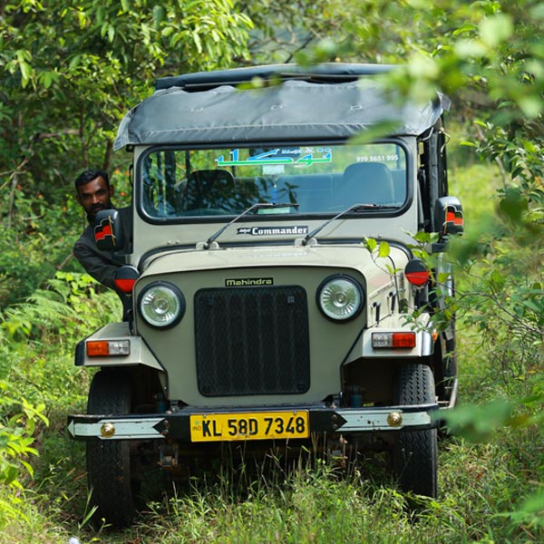 periyar-jeep-safari